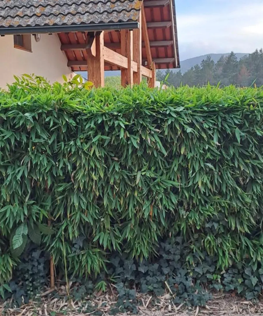 Chalet Entre Parques Naturales Vallgorguina 0*,
